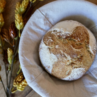 Bread