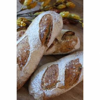 Bread