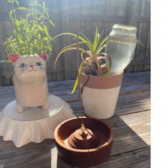 Candles & Diffusers