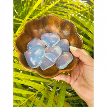 Metaphysical Wellness