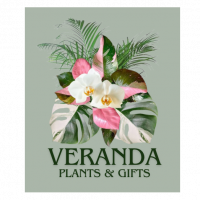 Veranda Plants and Gifts